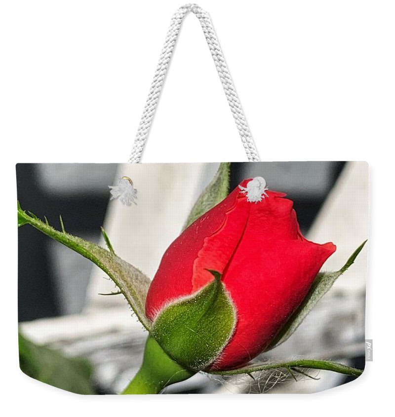 New Life - Weekender Tote Bag