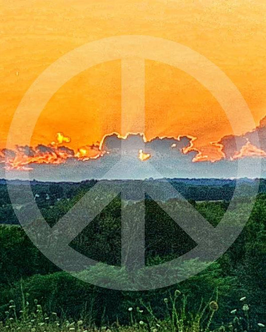 Peace on Earth  - Art Print