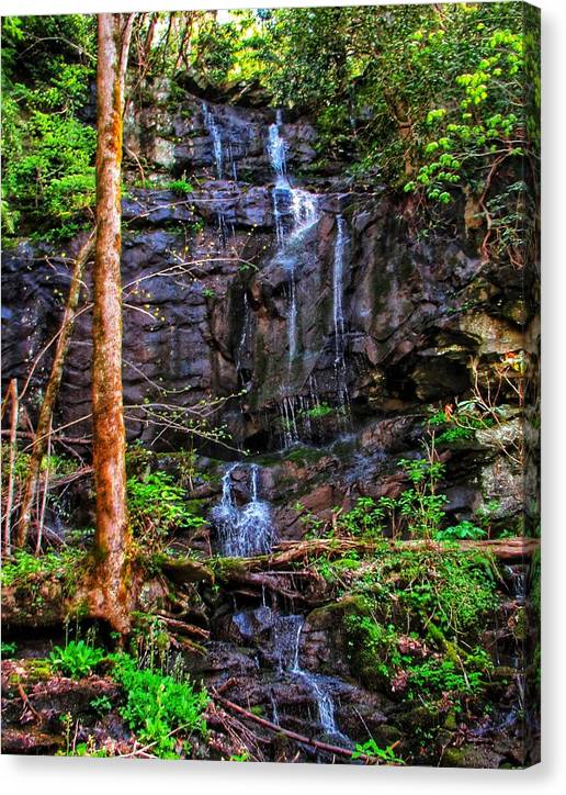 Roadside Treasure - Canvas Print