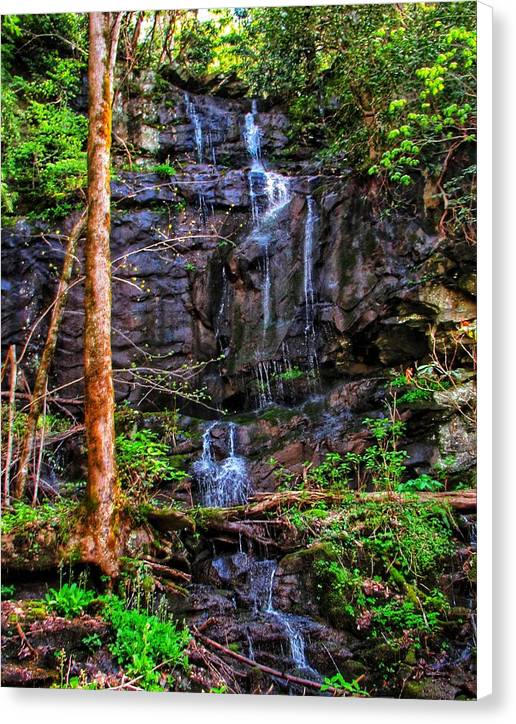 Roadside Treasure - Canvas Print