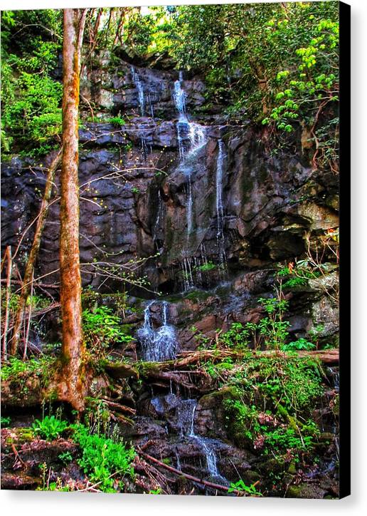 Roadside Treasure - Canvas Print