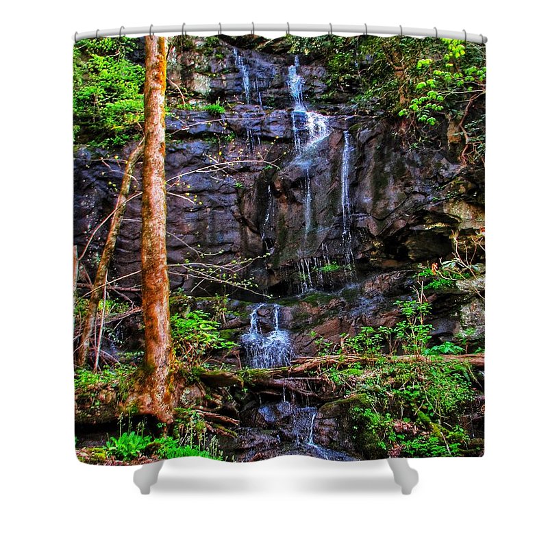 Roadside Treasure - Shower Curtain