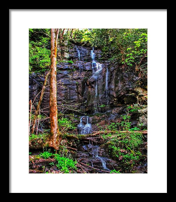 Roadside Treasure - Framed Print