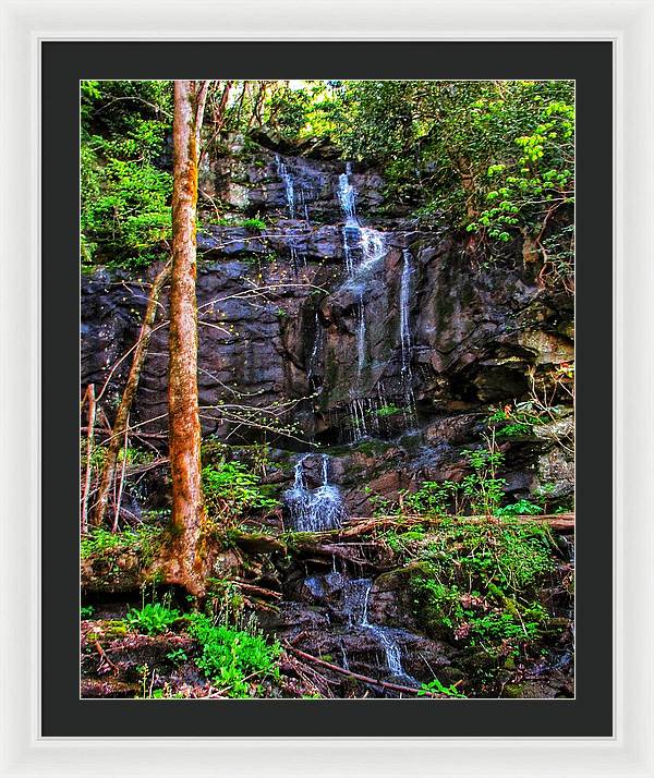 Roadside Treasure - Framed Print