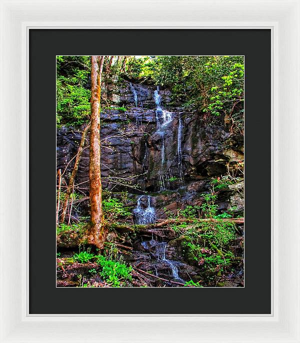 Roadside Treasure - Framed Print