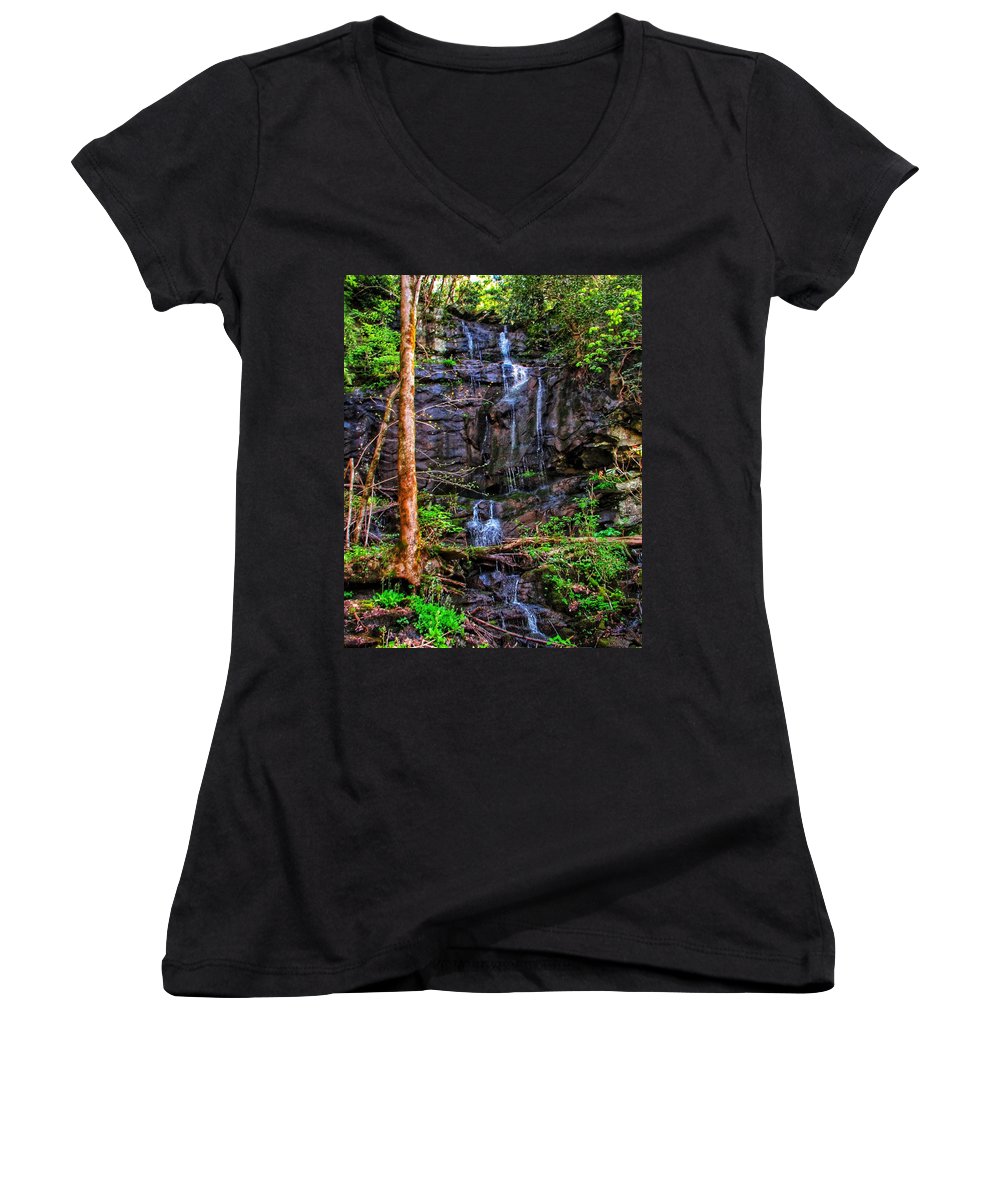 Roadside Treasure - Women's V-Neck