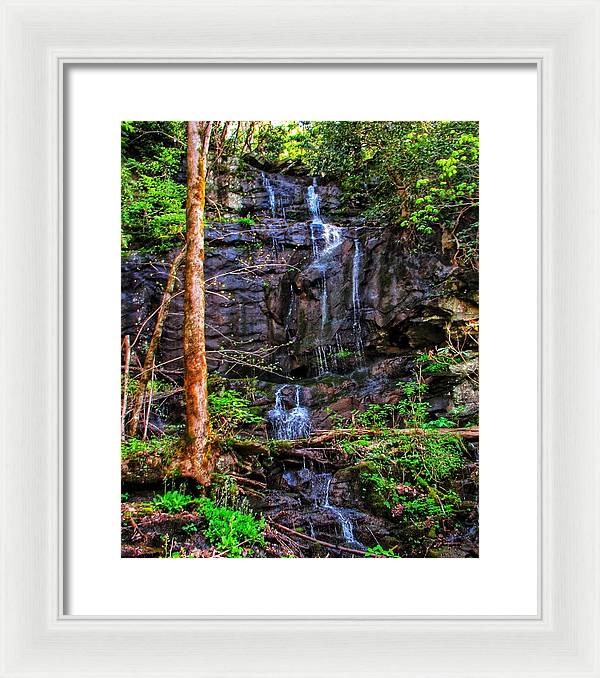 Roadside Treasure - Framed Print