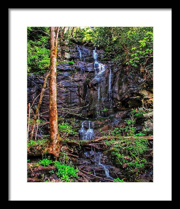 Roadside Treasure - Framed Print