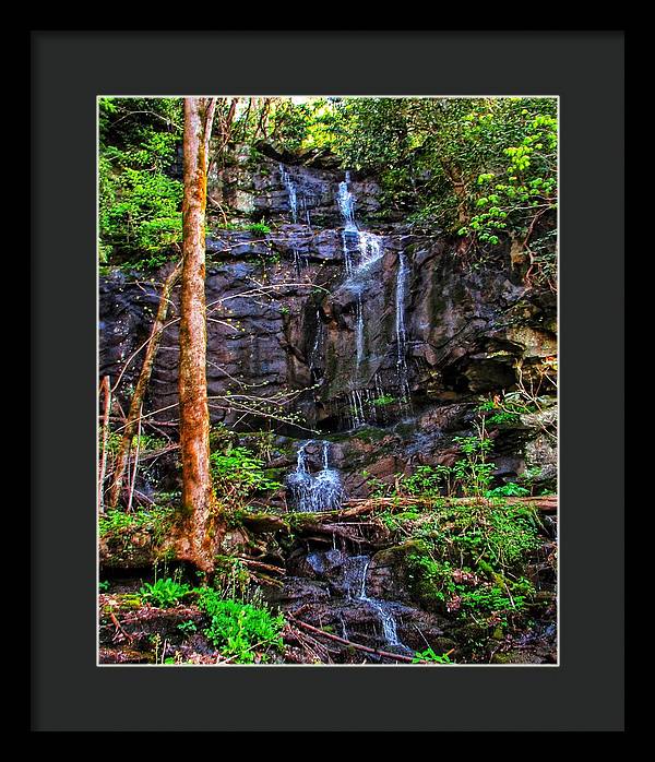 Roadside Treasure - Framed Print