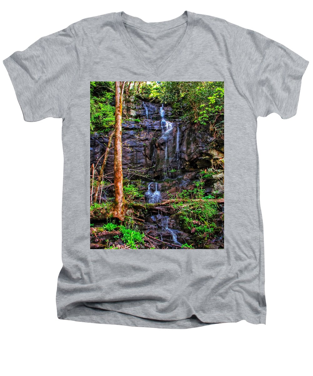 Roadside Treasure - Men's V-Neck T-Shirt