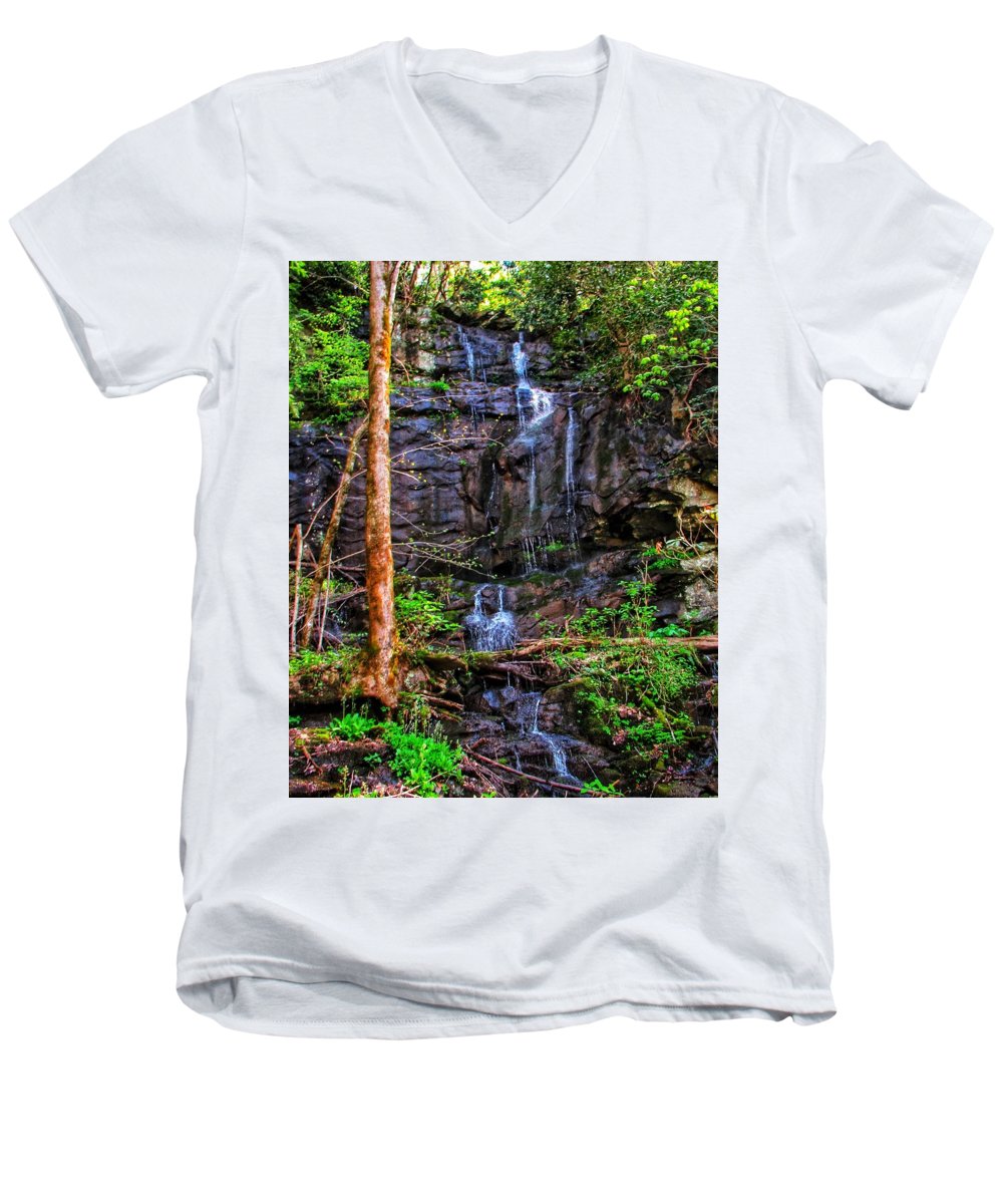 Roadside Treasure - Men's V-Neck T-Shirt