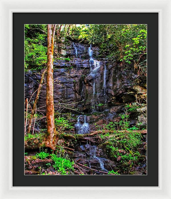 Roadside Treasure - Framed Print