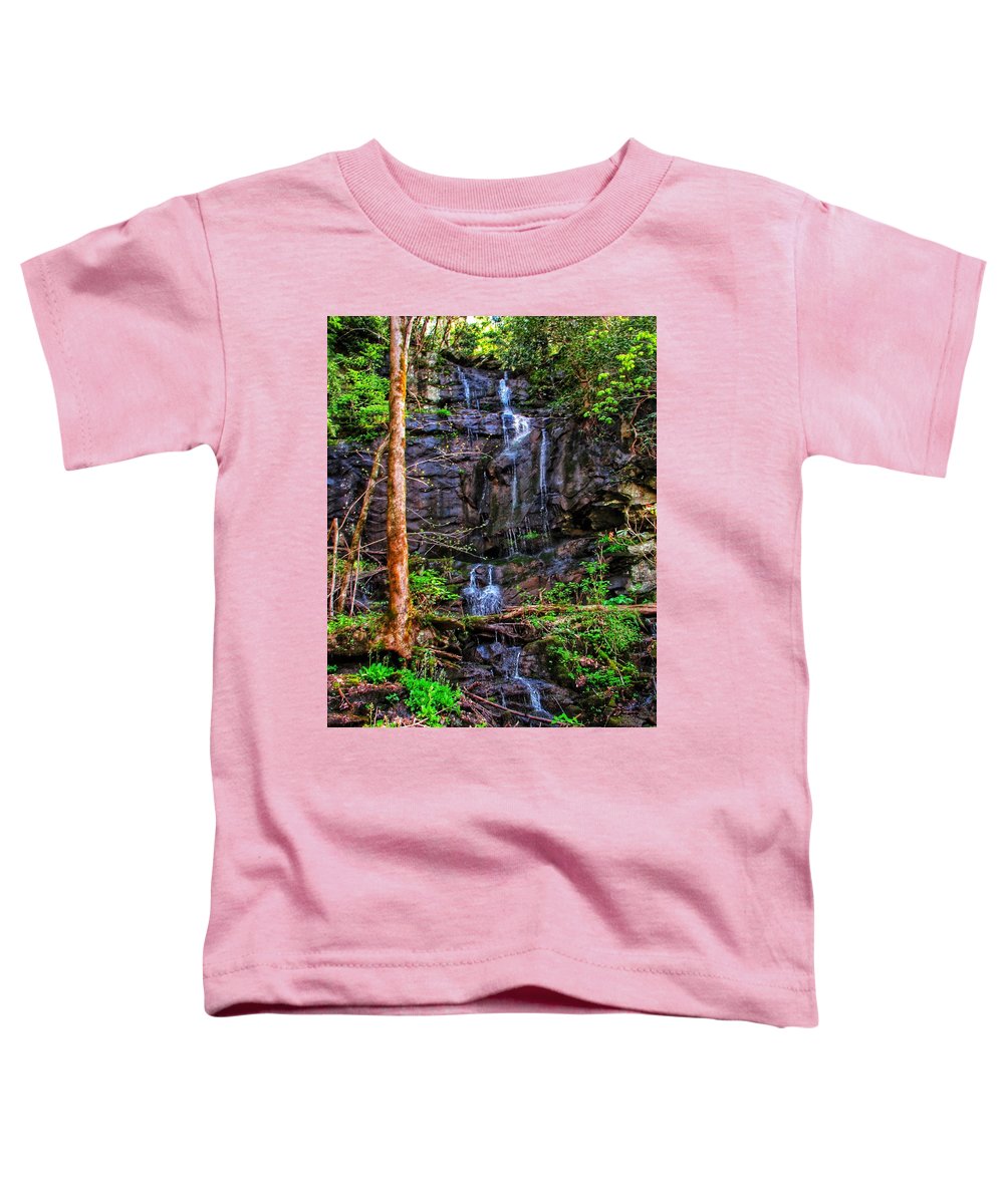 Roadside Treasure - Toddler T-Shirt