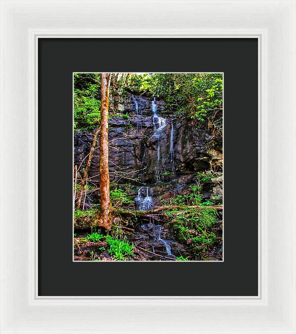 Roadside Treasure - Framed Print