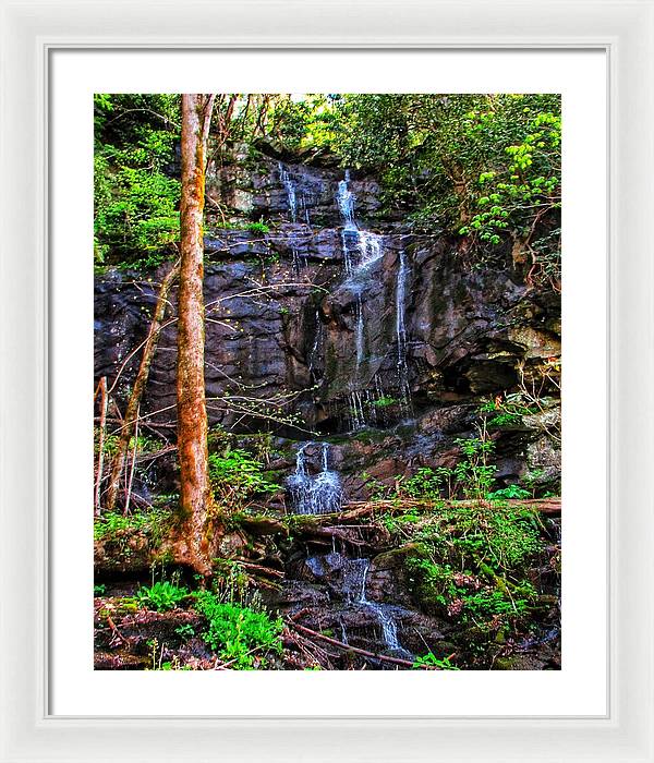 Roadside Treasure - Framed Print