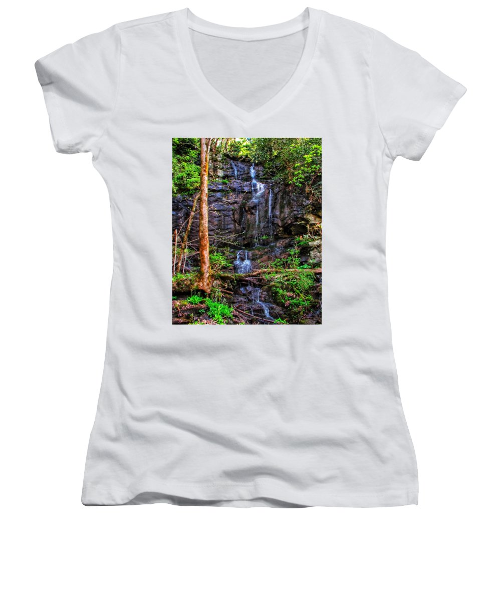 Roadside Treasure - Women's V-Neck