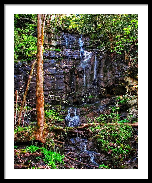 Roadside Treasure - Framed Print