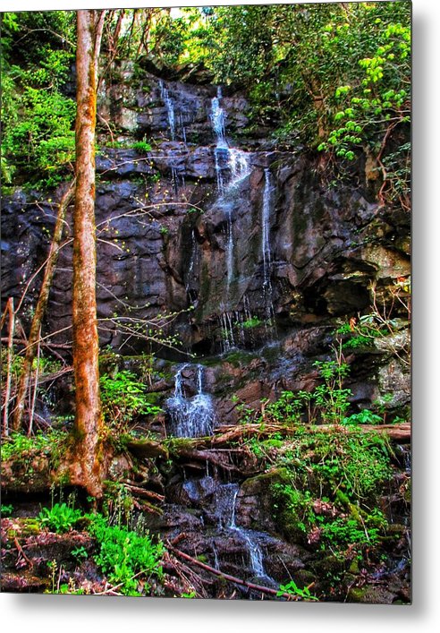 Roadside Treasure - Metal Print