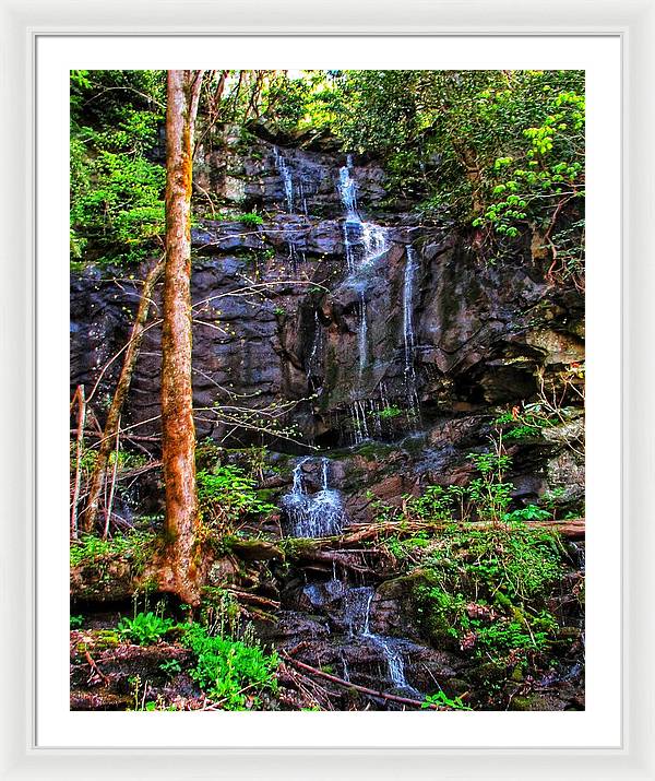 Roadside Treasure - Framed Print