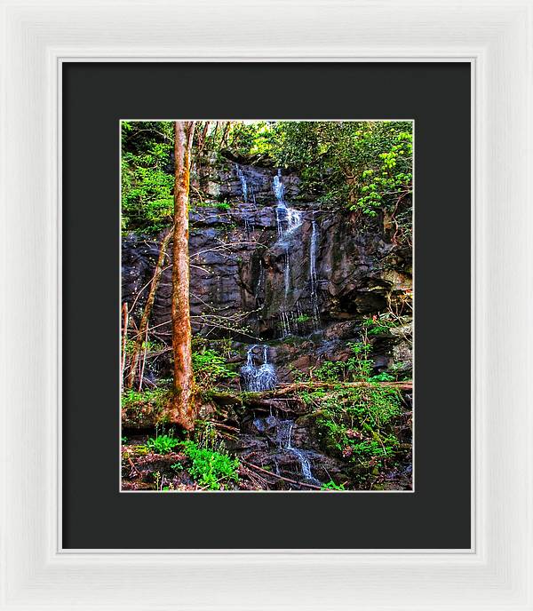 Roadside Treasure - Framed Print