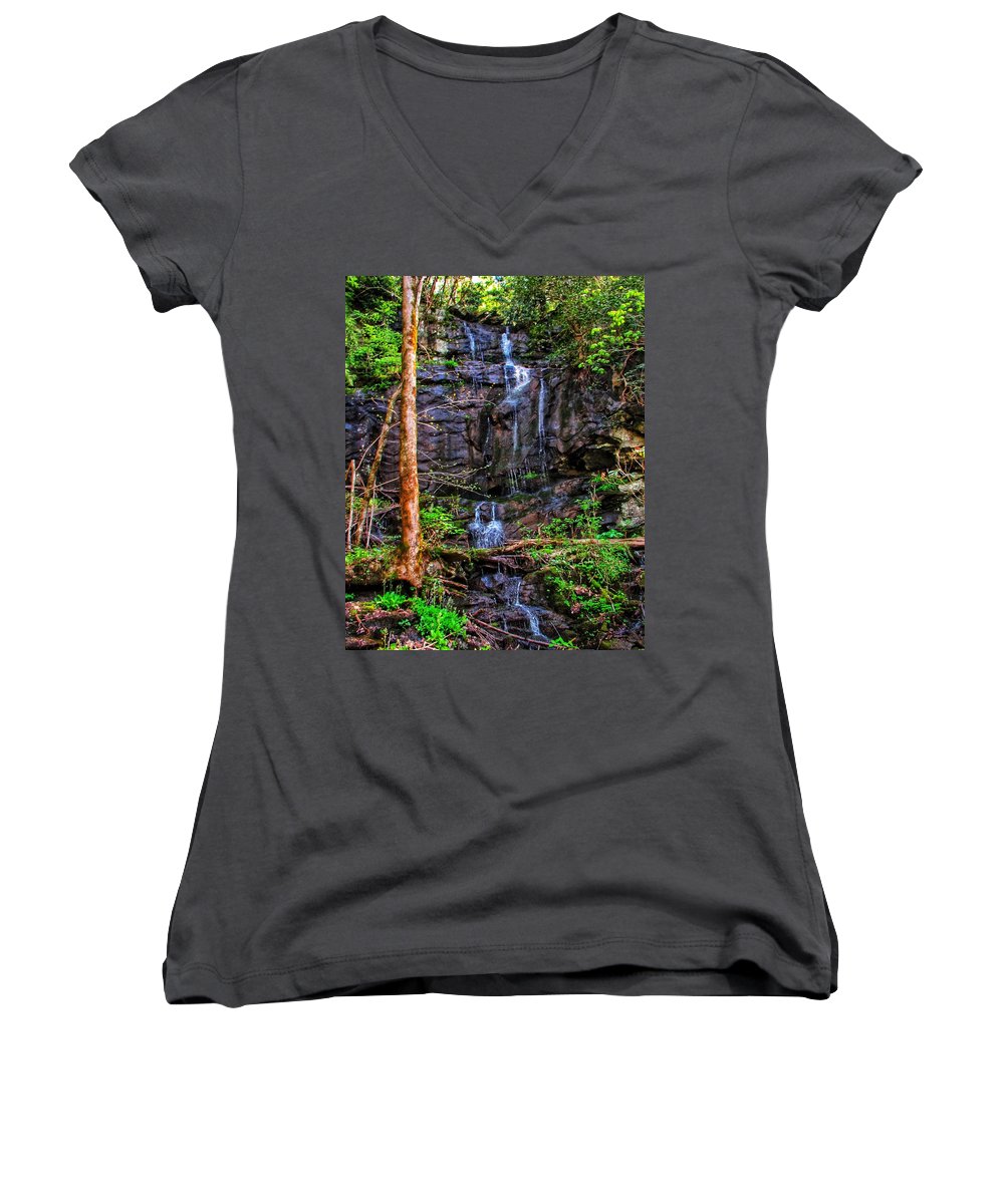 Roadside Treasure - Women's V-Neck