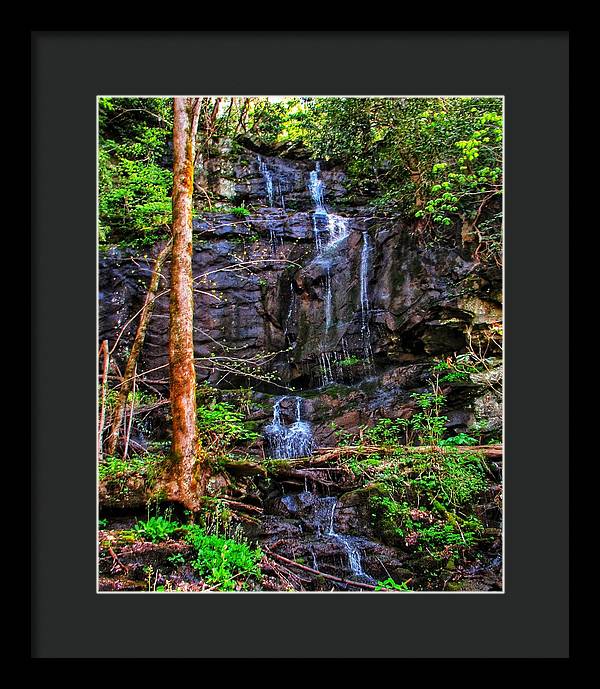 Roadside Treasure - Framed Print