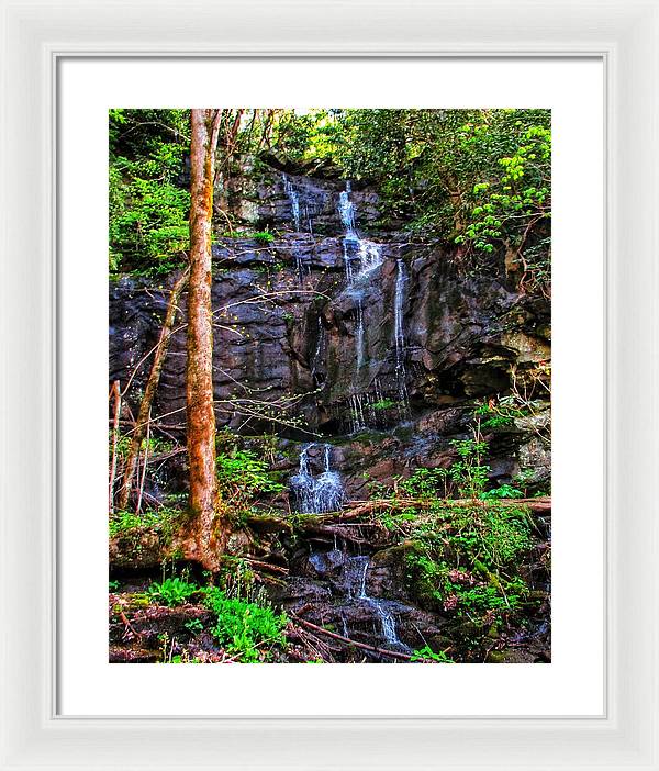 Roadside Treasure - Framed Print