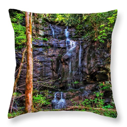 Roadside Treasure - Throw Pillow