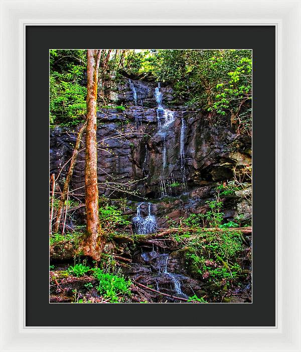 Roadside Treasure - Framed Print