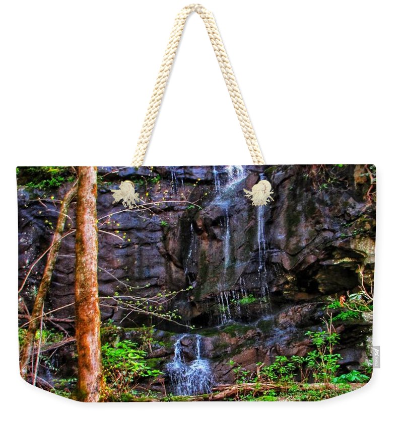 Roadside Treasure - Weekender Tote Bag