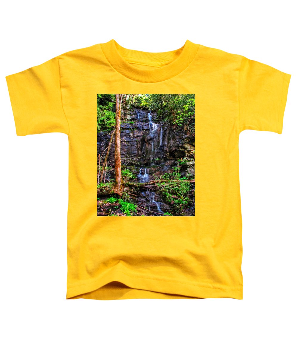 Roadside Treasure - Toddler T-Shirt