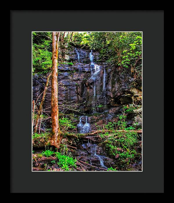 Roadside Treasure - Framed Print