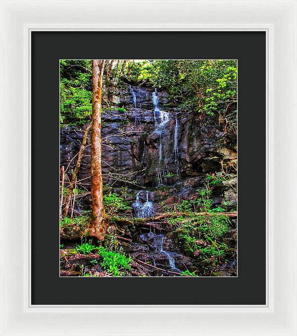 Roadside Treasure - Framed Print