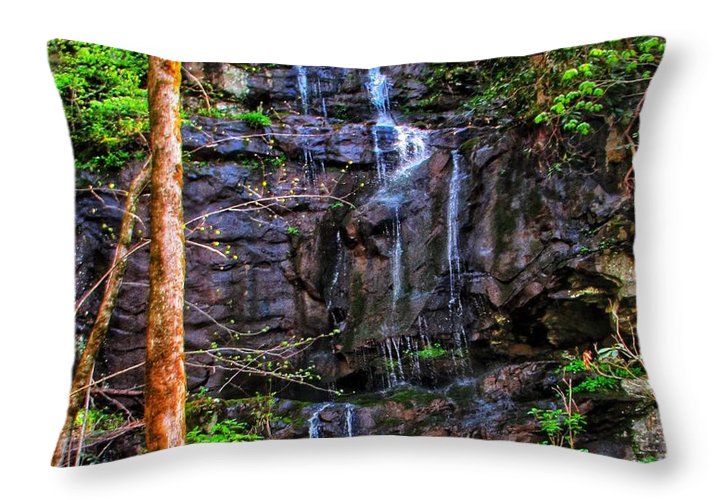 Roadside Treasure - Throw Pillow