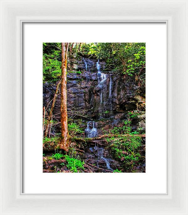 Roadside Treasure - Framed Print