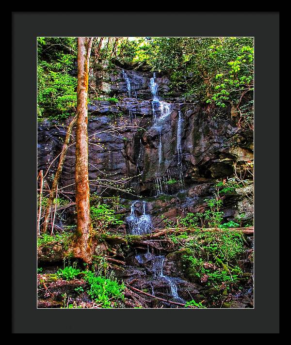 Roadside Treasure - Framed Print