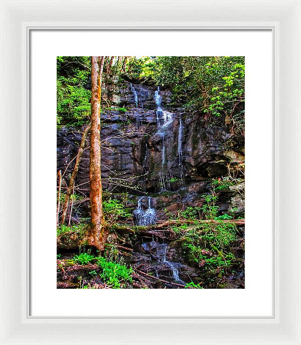 Roadside Treasure - Framed Print