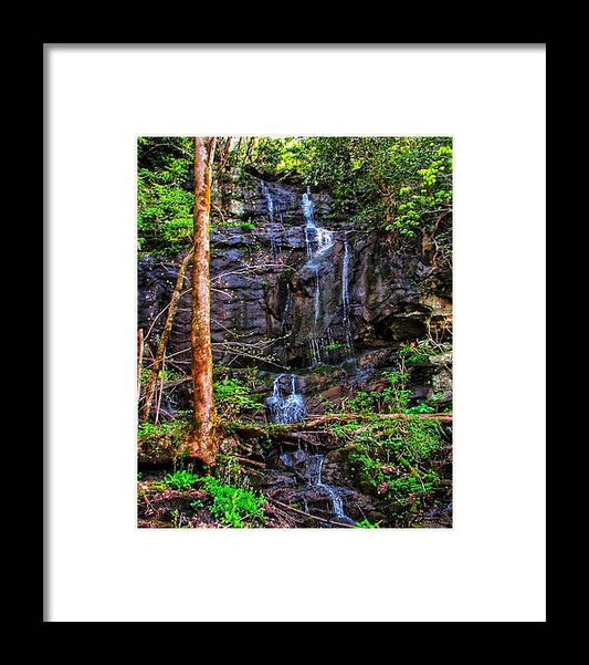 Roadside Treasure - Framed Print