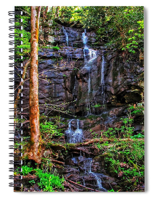 Roadside Treasure - Spiral Notebook