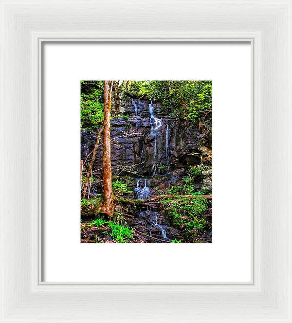 Roadside Treasure - Framed Print