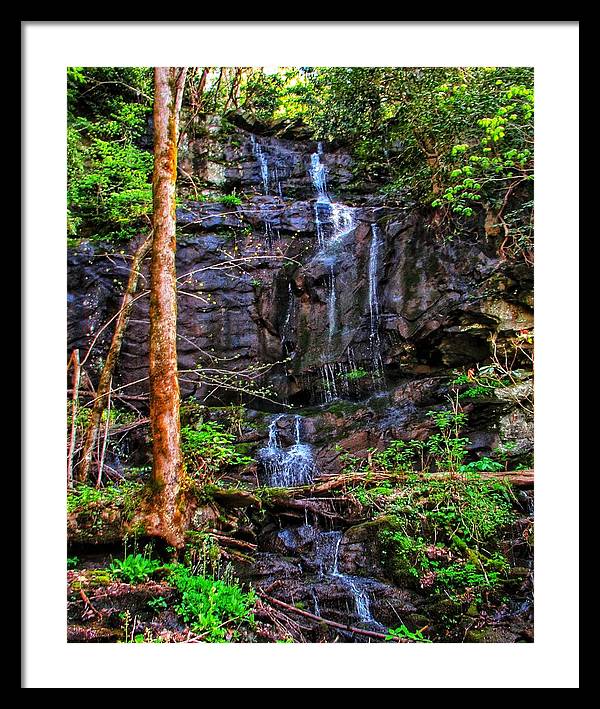 Roadside Treasure - Framed Print