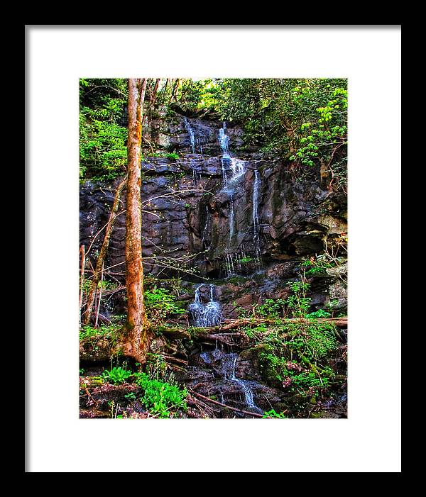 Roadside Treasure - Framed Print