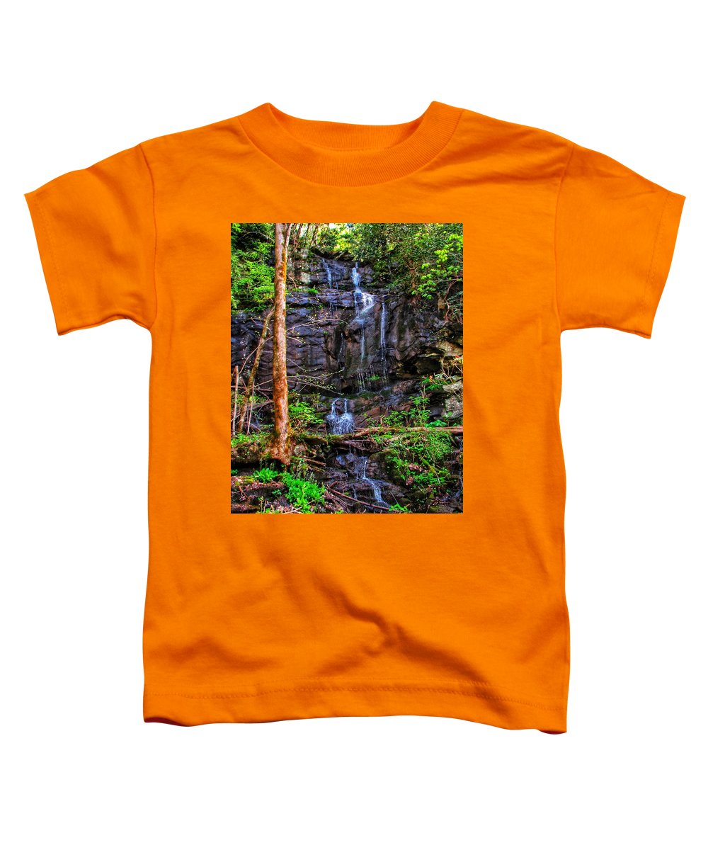 Roadside Treasure - Toddler T-Shirt