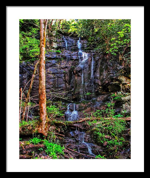 Roadside Treasure - Framed Print