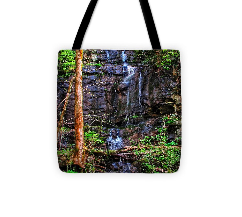 Roadside Treasure - Tote Bag