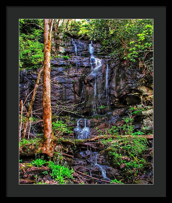 Roadside Treasure - Framed Print