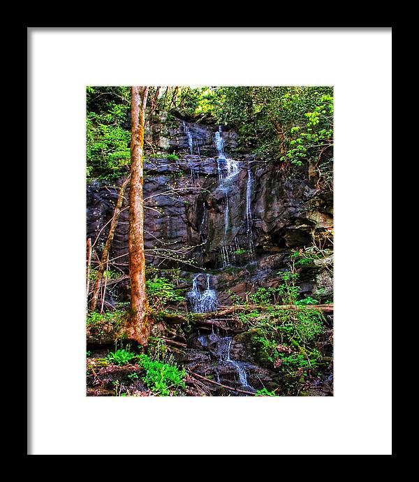 Roadside Treasure - Framed Print