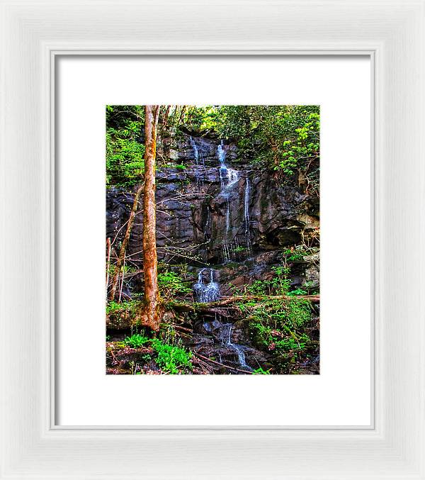 Roadside Treasure - Framed Print