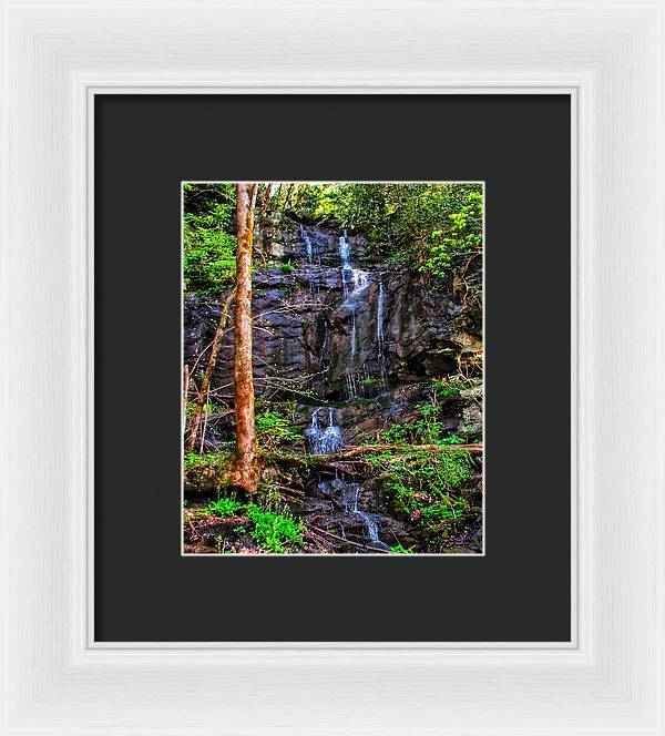 Roadside Treasure - Framed Print