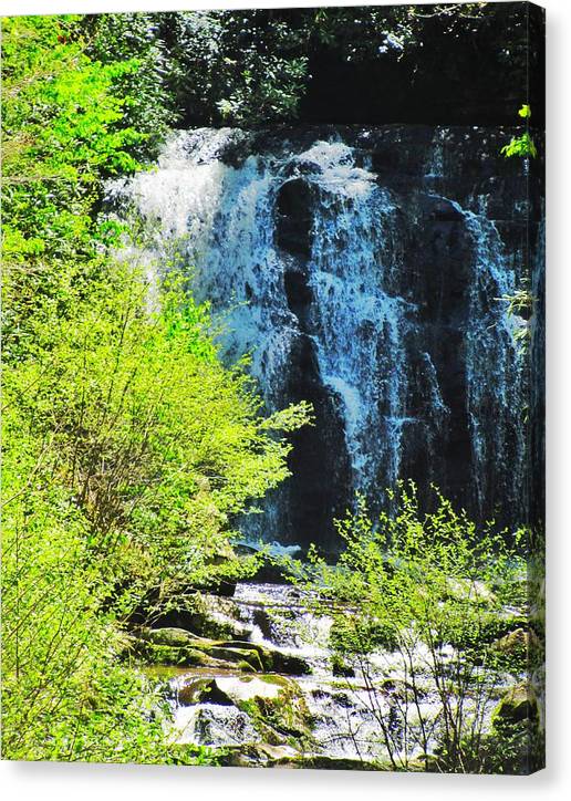 Roaring Fork Waterfall - Canvas Print